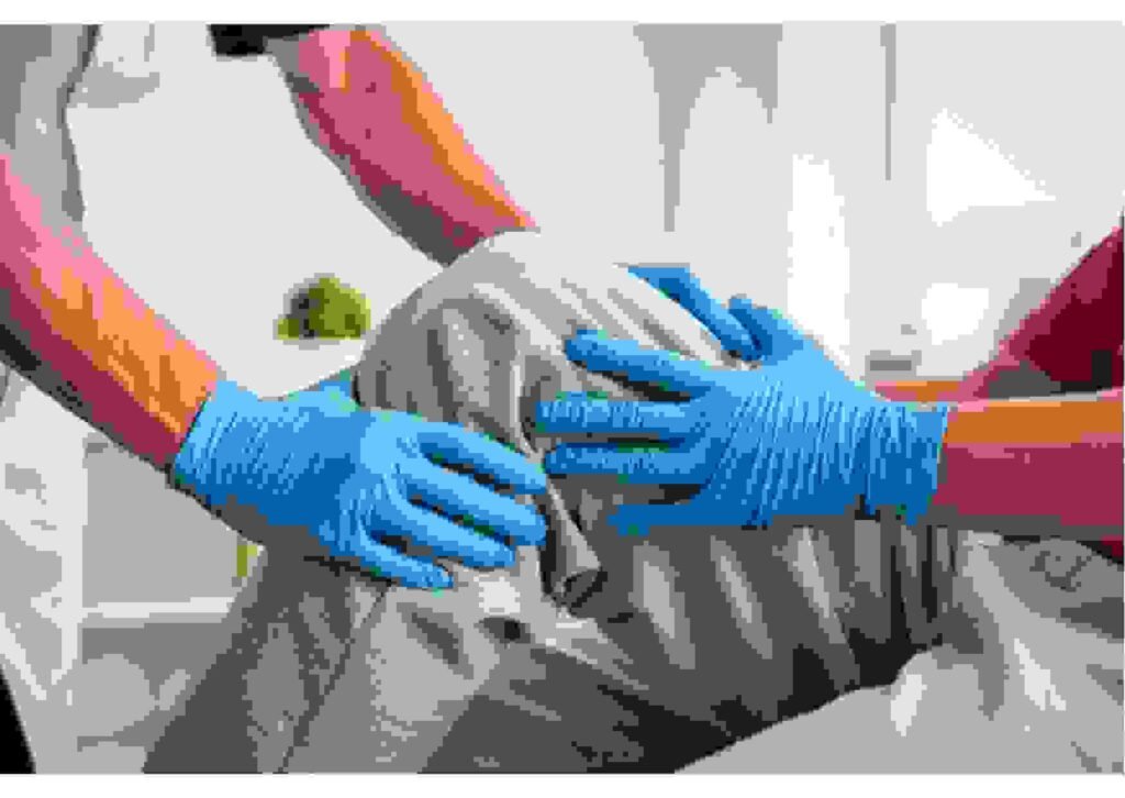 untitled design (6)